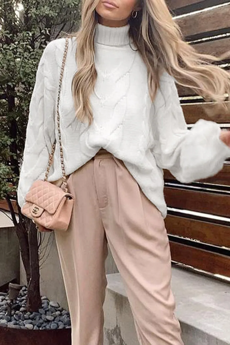 Casual Street Solid Solid Color Turtleneck Tops