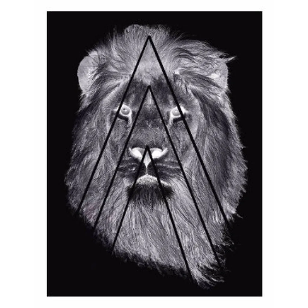 NAVY STREET LION TANK TOP